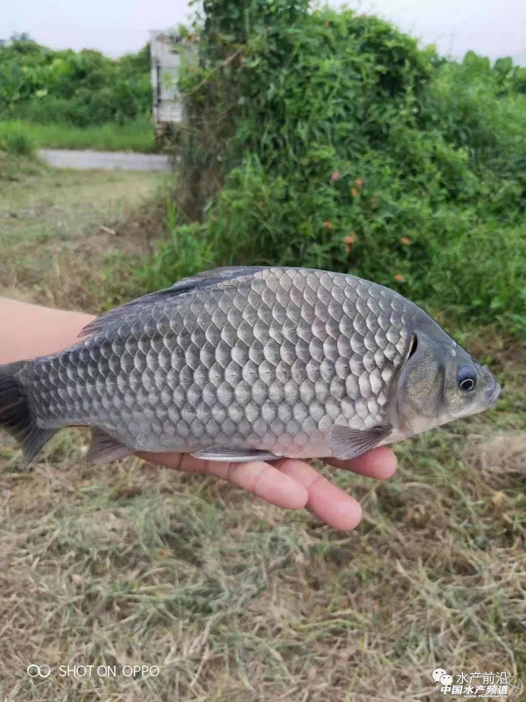 2020�꣬�B�Ă�Ʒ�N��ٍ�X��