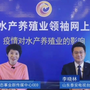 �����´�Ҍ��ИI���n���󿧞����ƽ⣡