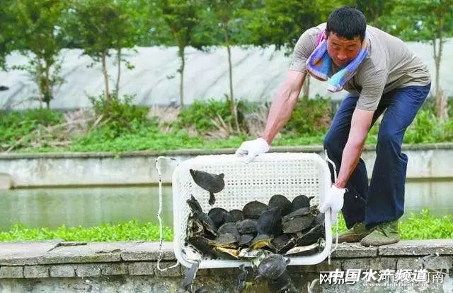 ���죬�Ҟ���~������