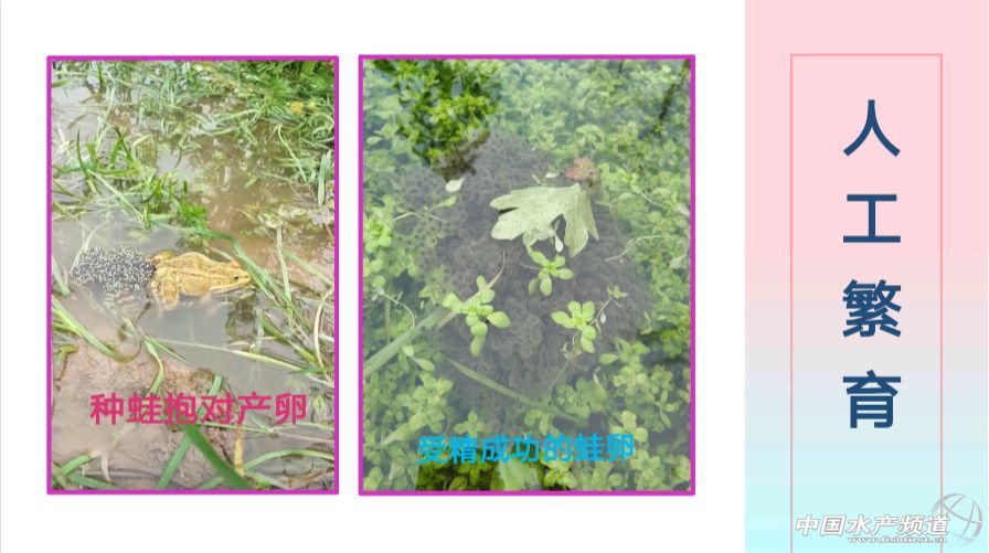 �ڰ��ܕ�(hu��)����(hu��)�����Пo��Փ��