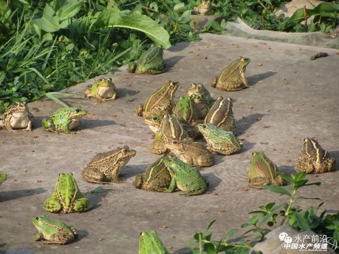 ���ܮa(ch��n)�I(y��)����ԓ��ԓ���ڣ�