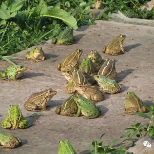 ���ܮa(ch��n)�I(y��)����ԓ��ԓ���ڣ�