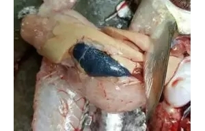 �����Ч��Q�B(y��ng)ֳ�^���г��F(xi��n)�ĸ��c���}��