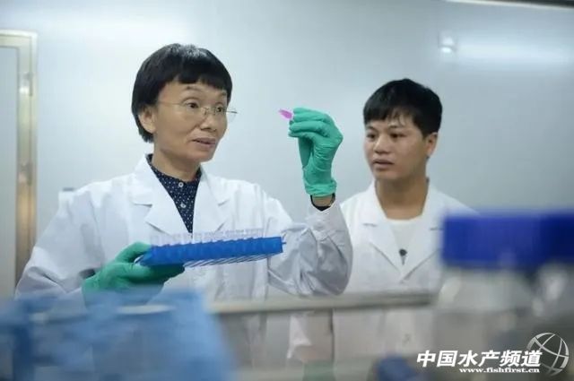 ���ۣ��޷���Ұ����(d��ng)���B(y��ng)ֳҎ(gu��)������