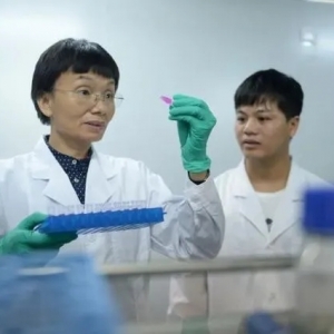 ���ۣ��޷���Ұ�������BֳҎ������