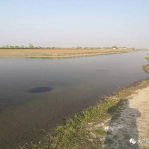 �����ܶȎ���(l��i)���з�B(y��ng)ֳ�L(f��ng)�U(xi��n)����η��أ�