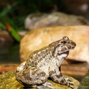 ʮ�f�𼱣���20�|Ԫ�Ĵ�ڼ���������һ����