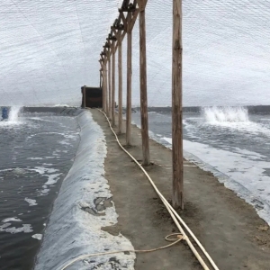 ˮ�aǰ��2020��ُ�Nָ�ό��}֮10-���K�~