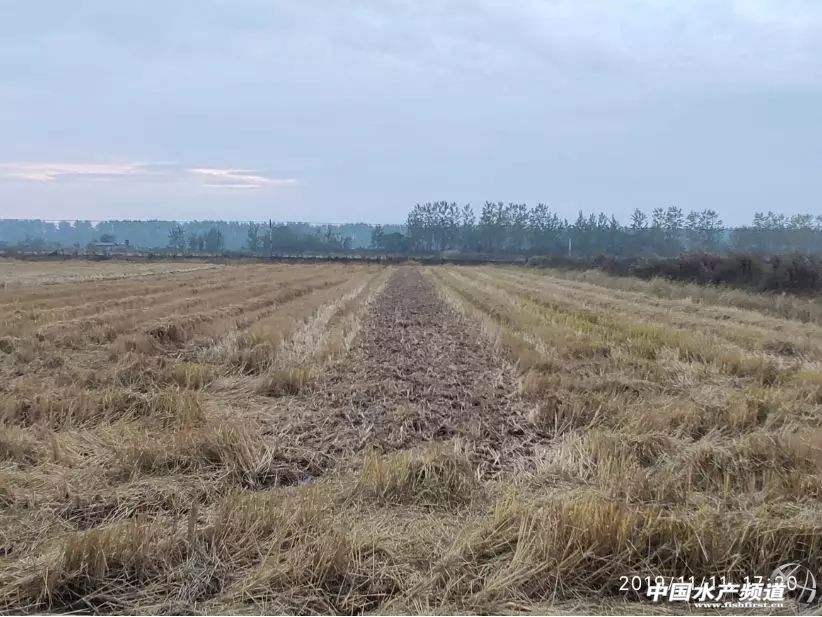 �_��С���r�B(y��ng)ֳ�ܴ죬�@Щ���ӡ�ǧ�f�����ٲ�