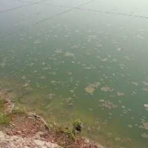 ���紺�B(y��ng)ֳ����ˮ�|(zh��)���}̎����������3��13������3�c��ˮ�a(ch��n)ǰ�����n���c����s