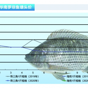 �_���~���������^���~�r�ϝq���gС������ˮ�aǰ�ء�2020��2�¿��Ј�څ��