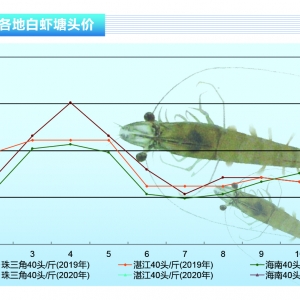 ���r:�ĵ���ȵ׵��������r�r�²��ӳ�10Ԫ/�����ˮ�aǰ�ء�2020��3�¿��Ј�څ��