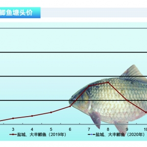 �a�~�����M�����r���ԡ�����ˮ�aǰ�ء�2020��2�¿��Ј�څ��