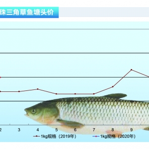 ���~����N���m�ϝq�����~Ҳ�_ʼ���ء�����ˮ�aǰ�ء�2020��3�¿��Ј�څ��