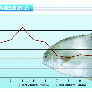 ���K�~��������٣��A�����ؽ��K�~�r(ji��)�񱩝q������ˮ�a(ch��n)ǰ�ء�2020��2�¿��Ј�(ch��ng)څ��(sh��)