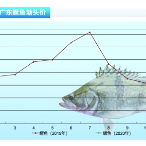 �Z�~���N���E�� ������ԡ�����ˮ�aǰ�ء�2020��3�¿��Ј�څ��