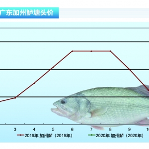 �����|�������Нq�����~���Σ��~�r���ٴ��ϝq������ˮ�aǰ�ء�2020��2�¿��Ј�څ��