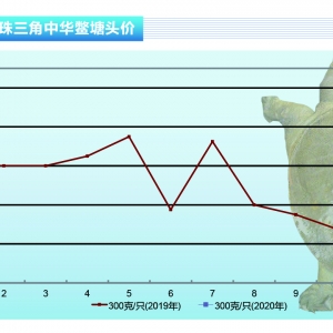 ���~����������󣬼��~�r�񑪄��ϝq������ˮ�aǰ�ء�2020��2�¿��Ј�څ��