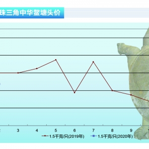 ���~�����~�����y�Ԙ��^������ˮ�aǰ�ء�2020��3�¿��Ј�څ��