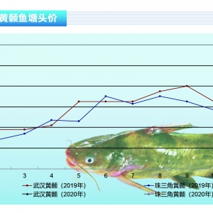 �S��~�����w�����^�鷀��������ˮ�aǰ�ء�2020��3�¿��Ј�څ��