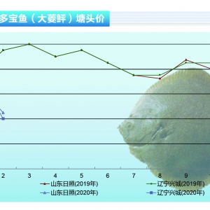 �����~��������Ӱ��N���E�p�����~�����ĘI�����y���ء�����ˮ�aǰ�ء�2020��3�¿��Ј� ...
