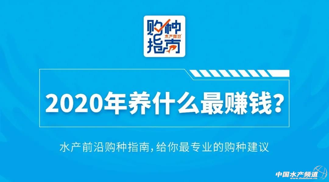 ���B(y��ng)�~ٍ�X��2020�겻���e(cu��)�^�@�l�~��