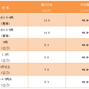 �o�[�~���S��~���~����oȱ���r�񷀶�