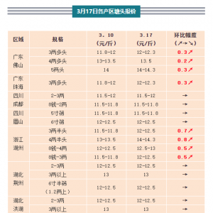 2020��3��17���S��~һ�����^�r�����鲥��