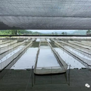 �¹�Ӱ��Bֳ�������������a���°��������ߺã�