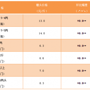 �o�[�~���S��~�r���������л��в���