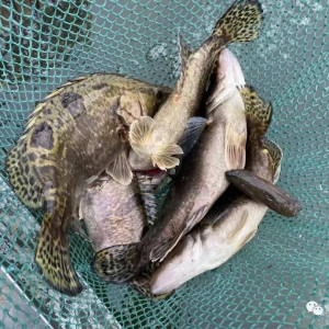 �V�|�����K�Z�~��ߝq1Ԫ/��D���~�������1.6Ԫ/��