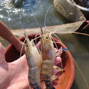 ���裡�������_�r��ʲ������l(f��)����߅�^(q��)�������r�Ʒ�NҲ�и�Ⱦ�L(f��ng)�U(xi��n)