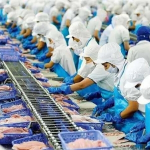 716��3�·�Խ�ϰ�ɳ�~(y��)��(du��)�A�������֏�(f��)��һ�룡