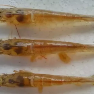 �r��ʲ����������ʸ��_80%����Ⱦ�ԘO��