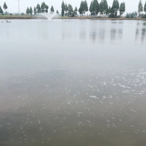 4-5�¡����塱�l�l(f��)��ԓ����A(y��)����