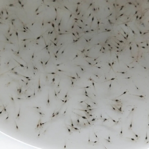 ��(du��)�r�������硱�ɞ�(z��i)���I(y��)�ߣ��ɷ��ɿأ����ؿֻ�