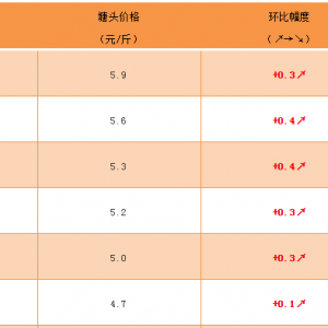 ���~�����Ў��q����ߝq��0.4Ԫ/��