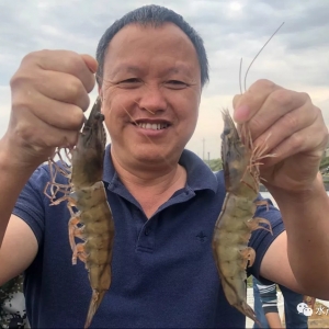 �����п죬���Ʒϵ�r���������x��