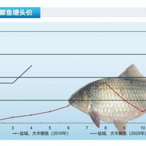 �a�~���a�~���鱩�q�������ͻ��10Ԫ/�����ˮ�aǰ�ء�2020��5�¿��Ј�څ��