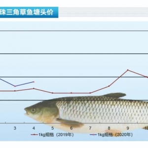 ���~�����龏��������Ȼ�����L�U���ӡ�����ˮ�aǰ�ء�2020��5�¿��Ј�څ��