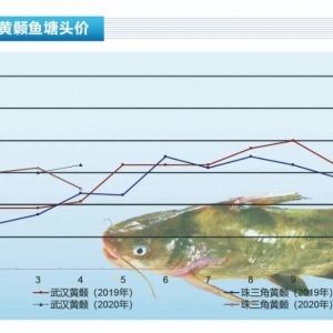 �S��~�����ܲ������򲡺����pʧ�K�ء�����ˮ�aǰ�ء�2020��5�¿��Ј�څ��