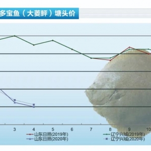 �����~���Ƶ���δ��ȫ�֏ͣ��Bֳ������̝��������ˮ�aǰ�ء�2020��5�¿��Ј�څ��