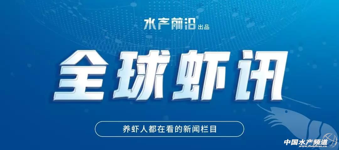 �y�����r�r(ji��)�񡰁y�С������r�̓r(ji��)����