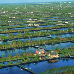 �ְl(f��)����15000���r��������Խ�r�r(n��ng)̝���ˣ��B(y��ng)�rô��270�f(w��n)����(y��u)�|(zh��)�r���������������ޱ��� ...