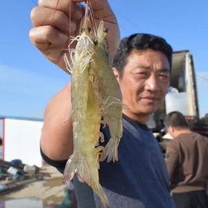 �����r�_15Ԫ/�ɽ�|���S���B�r�F����Σ�