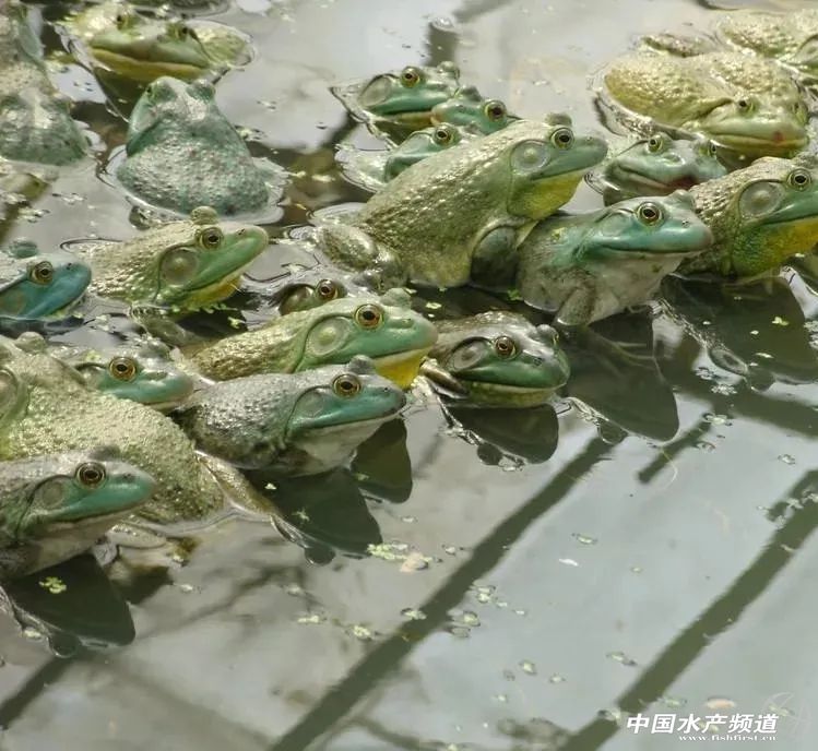 ����܃r(ji��)��ʮ�������߀�چ᣿