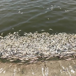 �O�t���t�~���l֮�^��