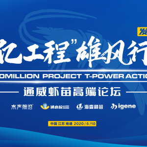 ���Ƀ|���̡����L(f��ng)�ЄӰl(f��)��������ͨ���r��߶�Փ��