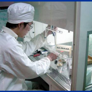 �P(gu��n)��ˮ�a(ch��n)�B(y��ng)ֳ�á�С��΢�����ҡ����ܵĺ�Ҫ��B