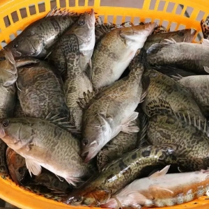 ���@���䣡5��25�ո����Z�~�������^��r